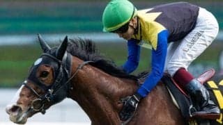 【北九州記念予想】初の芝1200m戦は大歓迎 待望の重賞初制覇なるか