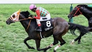 【クローバー賞】コスモディナーの連闘策が炸裂…力強く差し切る