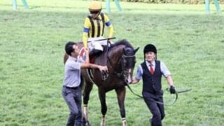 WIN5は300万円超の払戻し…札幌記念はプログノーシスがV