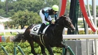キーンランドCと新潟2歳S 札幌でWASJ開催/今週の競馬界の見どころ
