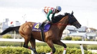 前走JpnII・2着のスマイルウィは8枠14番 川崎・スパーキングサマーC枠順