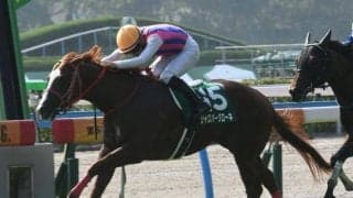 【北九州記念】売上は44億9361万2200円で昨年より4000万円減少