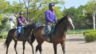 ダート重賞勝ち馬の仔アグラードなど 秋以降の飛躍に向けどの馬が勝ち上がるか/関東馬メイクデビュー情報