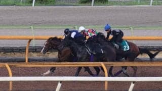 一昨年イクイノックスらが出走した新馬戦 今年は新種牡馬シュヴァルグラン産駒などが参戦/関西馬メイクデビュー情報