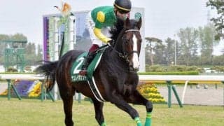 【先週のJRA抹消馬】21年の新潟大賞典制したサンレイポケット、ダート中距離で活躍のアラジンバローズなど