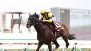 プログノーシスの血統を徹底分析 背景には母ヴェルダの優れた能力