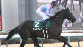 【キーンランドC想定騎手】ナムラクレアは浜中俊騎手、キミワクイーンは横山武史騎手