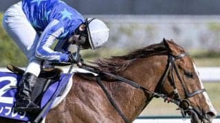 キーンランドCは延べ11頭のGI馬が参戦して1勝のみ 意地を見せて重賞2勝目を飾るか