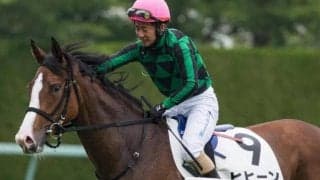 【新潟2歳S展望】好走傾向に合うヒヒーンに期待したい