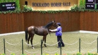 高校生の生産馬が200万円で落札  「3年生の16人全員で育てた馬が評価された事は素直に嬉しい」