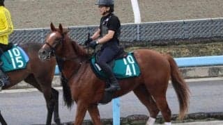 テーオードラッカーなど、先週のゲート試験/栗東トレセンニュース