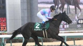 【キーンランドC予想オッズ】ナムラクレアが予想1番人気