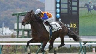 【小倉サマージャンプ予想オッズ】テーオーソクラテスが予想1番人気