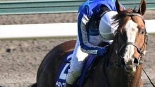ダートの名血から生まれた芝GI馬 キーンランドCで復活の勝利を