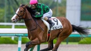 ジャスタウェイ産駒ヒヒーンが新潟2歳Sに参戦 12年前2着だった父の雪辱果たす戴冠へ