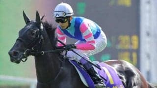 【キーンランドC展望】スプリンターズSの前哨戦、より長い距離での実績に注目