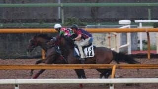 ミルテンベルク、小倉2歳S1週前追い切り開始/栗東トレセンニュース