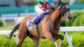 JpnII・2着の実績馬が他馬を圧倒するか/川崎・スパーキングサマーC