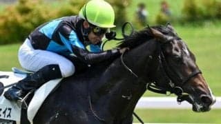 デビュー戦5馬身差V エイシンヒカリ産駒が新潟2歳SでJRA重賞初制覇なるか