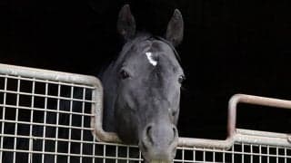 コントレイルから三冠馬は誕生するのか？ スタッフが明かす父ディープとの違い