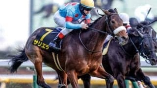 【新潟記念想定】サリエラ、ノッキングポイントなど16頭