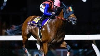 【川崎・スパーキングサマーC結果】スマイルウィが人気に応えて重賞4勝目！