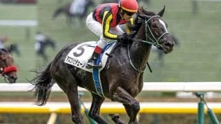 父は過去2勝のダイワメジャー 良血馬が新潟2歳Sで無傷の重賞V狙う