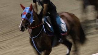 ビッグドリーム、小倉2歳S1週前追い切り開始/栗東トレセンニュース