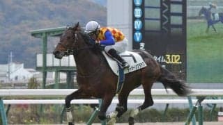 【小倉サマーJ出走馬・騎手確定】テーオーソクラテス＆小坂忠士騎手、アサクサゲンキ＆小牧加矢太騎手など10頭