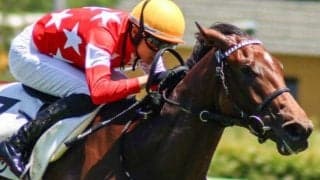 伯父は海外G1・4勝のアロゲート 新馬戦完勝の良血牝馬が新潟2歳S制覇狙う