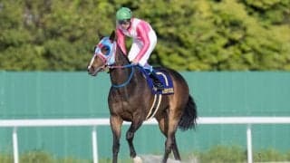 【サマーチャンピオン】JRA出走予定馬