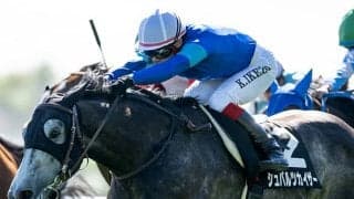 しらかばSレコードVの快速馬がキーンランドCに 史上初の外国産馬V狙う