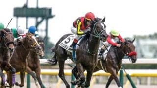 【新潟2歳S枠順確定】アスコリピチェーノは8枠12番、ルージュスタニングは4枠4番