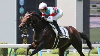 【新馬/小倉5R】ジュンゴールドが豪快な差し切りV！ライバルを置き去りにする差し脚を披露