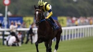 現在1483勝のハーツクライ産駒 “クロフネ超え”へ今週末は20頭が出走予定