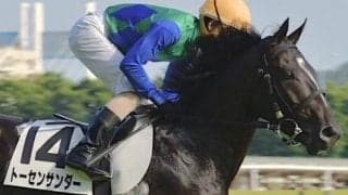 先週の道悪開催により傷みが目立つ札幌芝コース 外枠ゲットで期待の馬は？