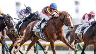 【新潟記念想定馬・騎手】ノッキングポイント、サリエラなど14頭