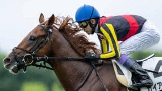 【札幌2歳S想定馬・騎手】ガイアメンテ、パワーホールなど10頭