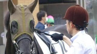 【土曜新潟1R】デビュー戦は負けて強しのロジリオン 2戦目で勝機到来だ