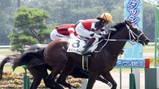 新潟２歳Ｓは人気馬に死角あり　代わって浮上するのは展開が味方する穴馬２頭