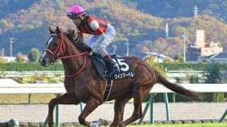 【キーンランドC予想】現時点での注目馬は3頭！ 馬体から洋芝適性が見込める狙い目は？