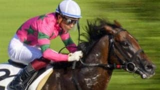 前走に復調の兆しあり ラインガルーダが得意1000mの釜山Sで巻き返す