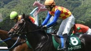 【小倉サマーJ結果】テーオーソクラテスが人気に応え初重賞制覇！