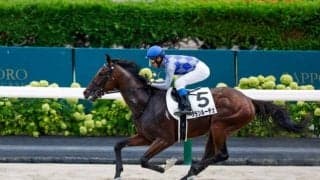 【札幌5R新馬戦結果】7番人気グランルーチェが6馬身差の圧勝！