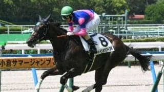 【小倉5R新馬戦結果】メイショウゴーフルが早目先頭から押し切ってデビューV