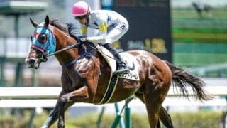 【小倉2歳S】未出走馬ジャスパーノワール、新馬戦6馬身圧勝のビッグドリームらが登録