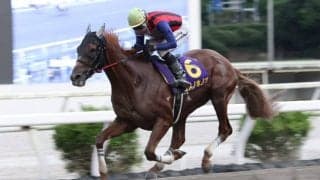 【高知・黒潮菊花賞】ユメノホノオが高知三冠達成…吉原「馬に任せました」