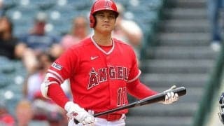 【MLB】共感の嵐…敵地で掲げられた“ボード”　溢れる大谷翔平への愛「私の靭帯を使って」