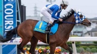 G1・6勝テピンが伯母にいる良血が重賞初挑戦/浦和・ルーキーズサマーC枠順