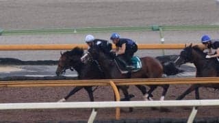 後は実践待つのみ 態勢万全なヴェローチェエラ/関西馬メイクデビュー情報